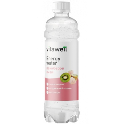   Fitness Food Factory Vitawell Energy Water 500 